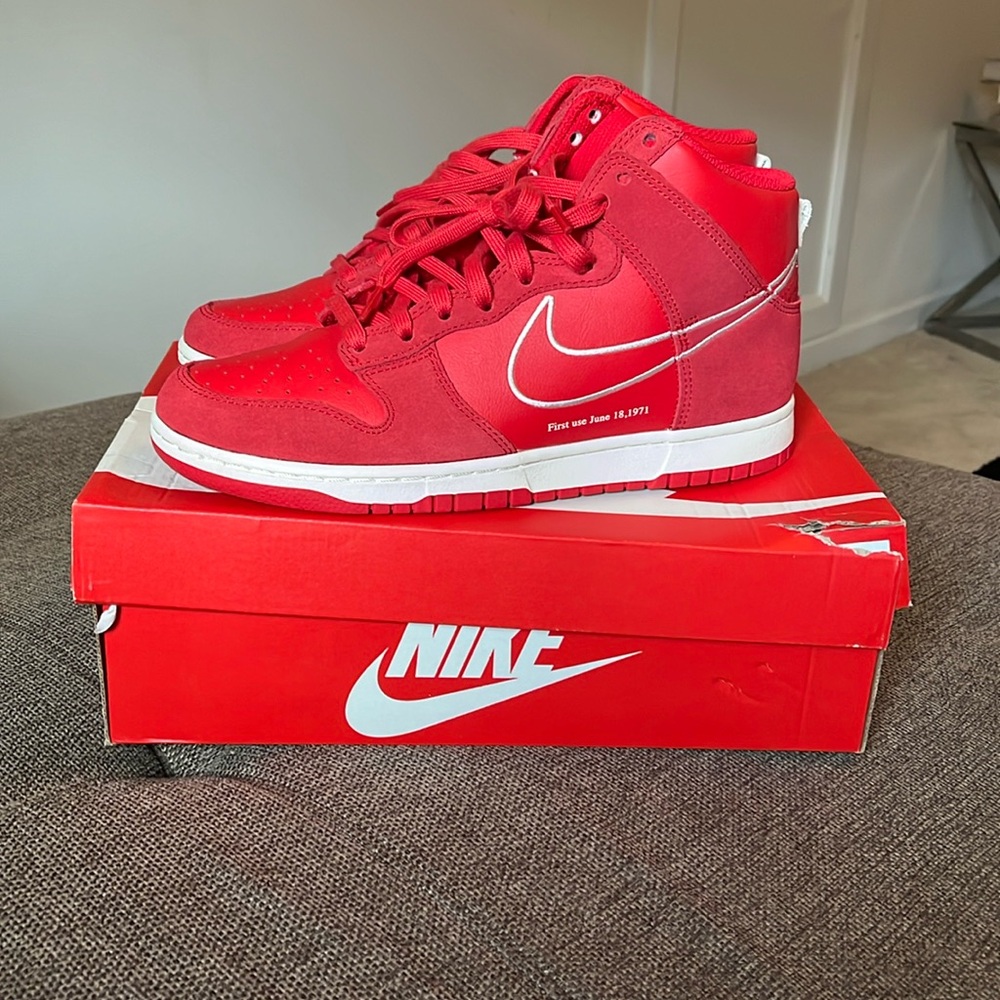 Nike dunk hi